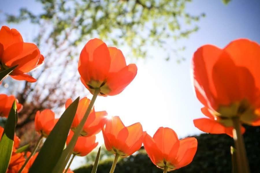 Zon&Zee Vakanties Duinzigt Villa Noordwijkerhout Luaran gambar